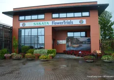 The FlowerTrials location of Sakata. At this location, also Van der Bos Flowerbulbs and Queen Genetics were presenting their varieties.